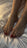 chaine pieds